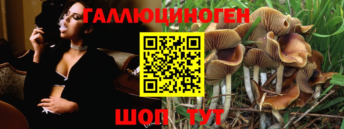 Псилоцибиновые грибы Cubensis  Вход с VPN  Псилоцибиновые грибы GOLDEN TEACHER  Нижневартовск 